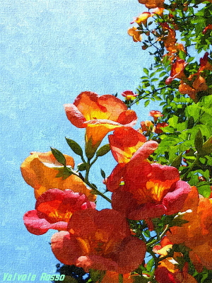 ＬＵＭＩＸ　Ｆ７　で撮影した花の写真を油彩に変更