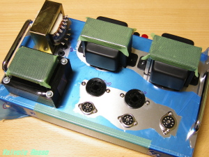 ６Ｎ２ＰＥＶ－１９ＡＱ５シングル