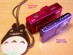 Panasonic LUMIX DMC-F7 と DMC-FX80 