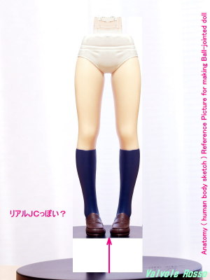 Anatomy ( human body sketch ) Reference Picture for making Ball-jointed doll （リアル人体に近づけるために脚の長さを短く調整）