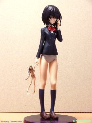 Anatomy ( human body sketch ) Reference Picture for making Ball-jointed doll SEGA Prize Premium Figure Another : Mei Misaki