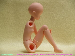 ピュアニーモ アドバンス Bタイプ Anatomy ( human body sketch ) Reference Picture for making Ball-jointed doll
