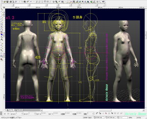 球体関節人形デッサン～ MakeHuman 1.1.1 顔の彫りを若干深くした13歳モデルをＣＡＤに下絵として読み込んで、腹部球体がうまく配置できるか検討します。