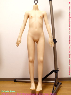 AXB Doll 136cm Body Hanging Image by Bike Repair Stand Anatomy ( Human Body Sketch ) Reference Picture for Making Ball-jointed Doll