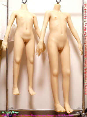 AXB Doll 120cm & 136cm Body Hanging Image by M16 Eye Bolt Anatomy ( Human Body Sketch ) Reference Picture for Making Ball-jointed Doll