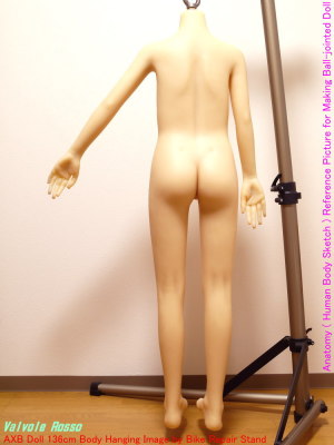 AXB Doll 136cm Body Hanging Image by Bike Repair Stand Anatomy ( Human Body Sketch ) Reference Picture for Making Ball-jointed Doll